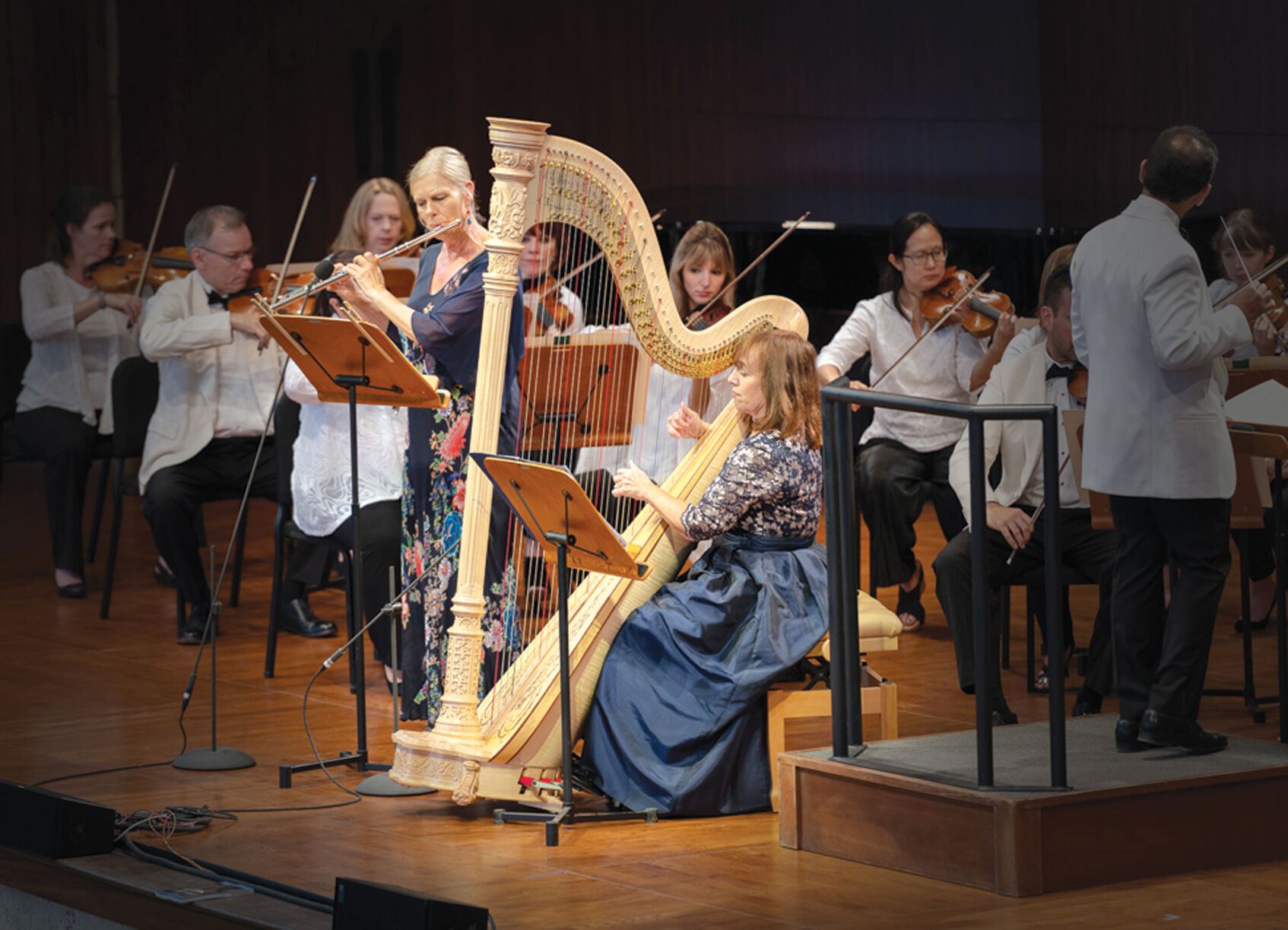 21-10-29 SVMF Harp, Gretchen Van Hoesen@.jpg